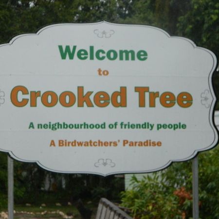 Becks Bed & Breakfast Crooked Tree ภายนอก รูปภาพ
