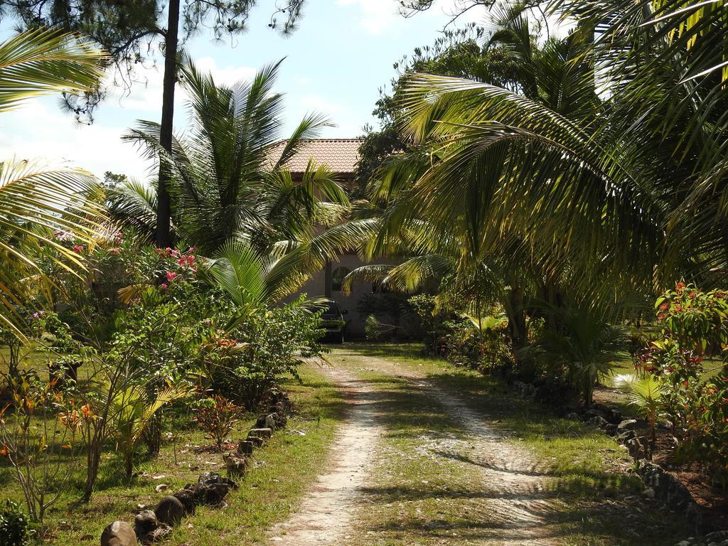Becks Bed & Breakfast Crooked Tree ภายนอก รูปภาพ