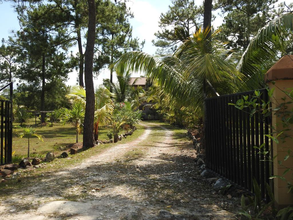 Becks Bed & Breakfast Crooked Tree ภายนอก รูปภาพ