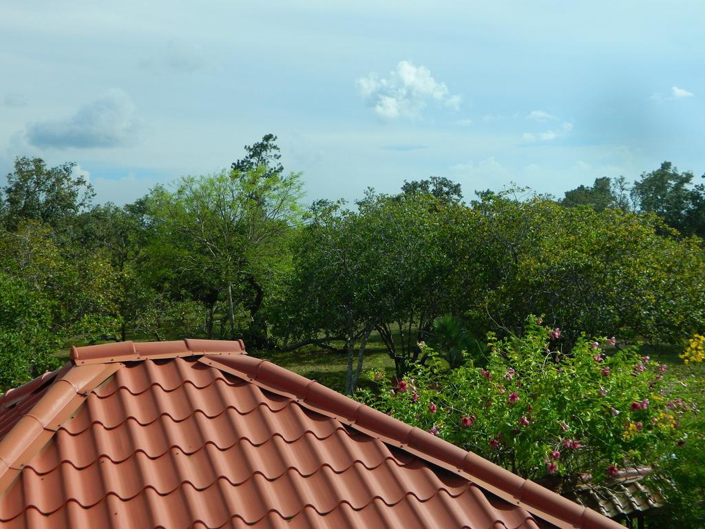 Becks Bed & Breakfast Crooked Tree ภายนอก รูปภาพ
