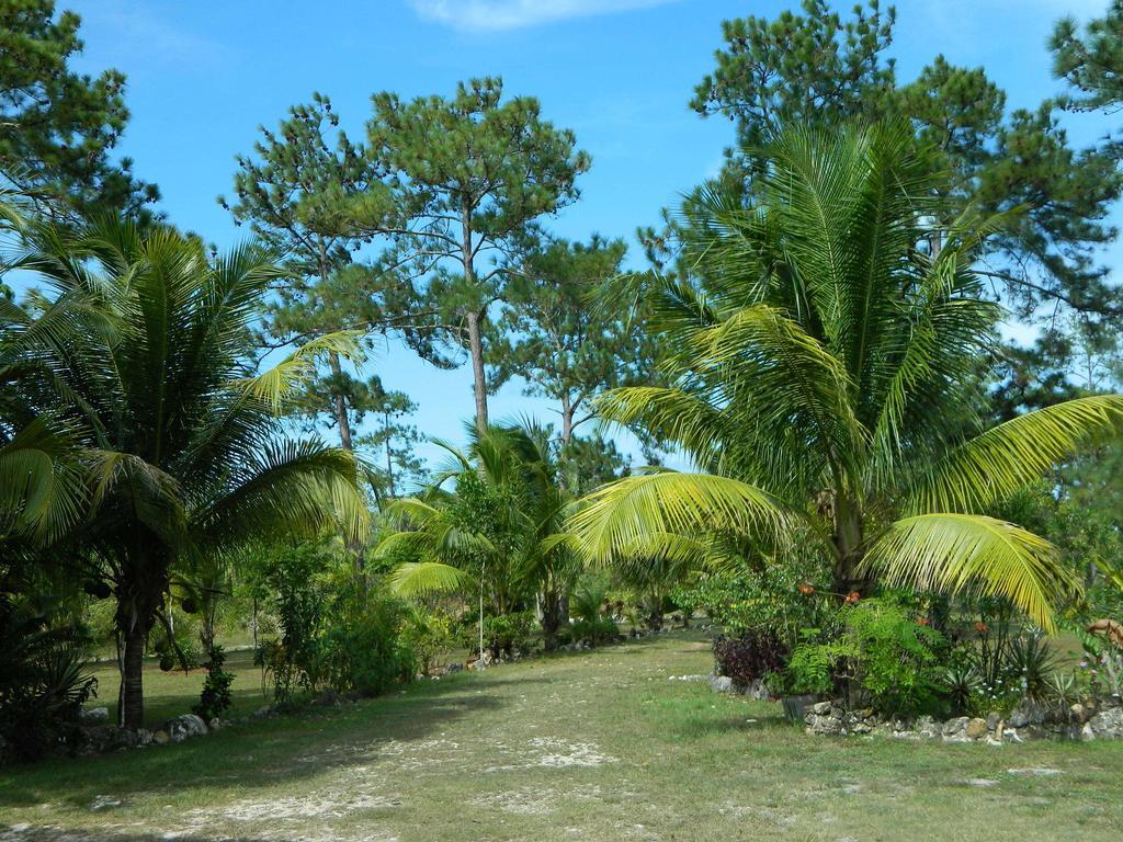 Becks Bed & Breakfast Crooked Tree ภายนอก รูปภาพ
